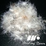 グレーアヒルの羽毛を洗浄2-8cm販売のための仕入れ・メーカー・工場
