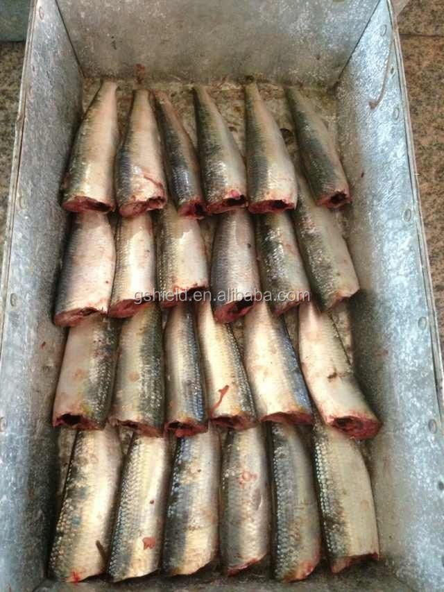 Frozen sardine HGT for canning
