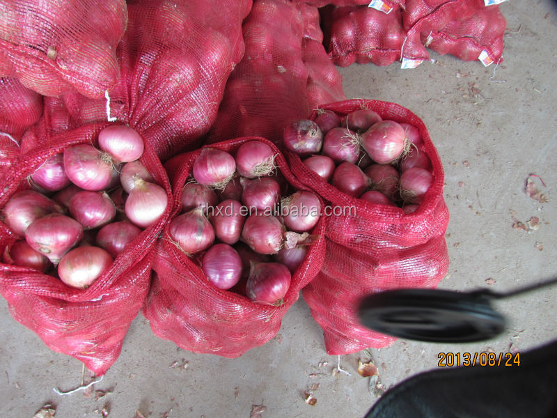 fresh onion 2014 red onion lowest price