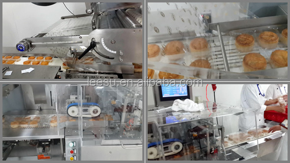 SGM080-3A-P/T Horizontal Flow Automatic Pillow Chewing Gum Packing Machine