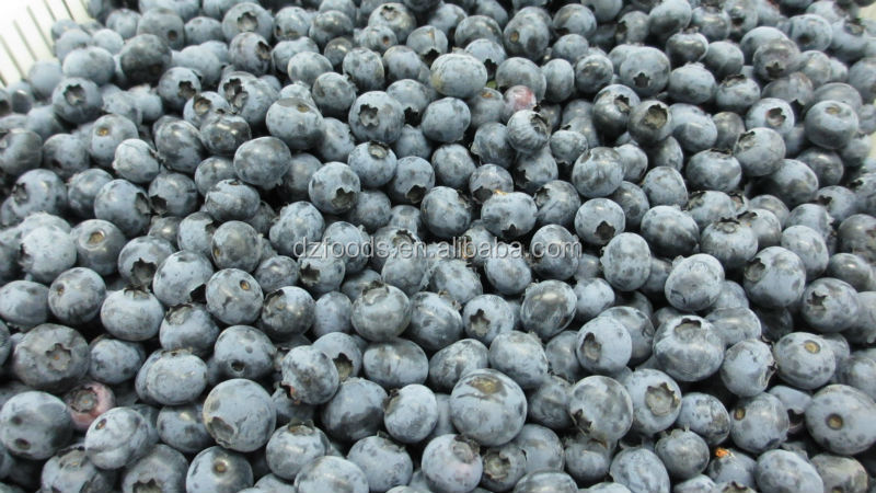 blueberry container