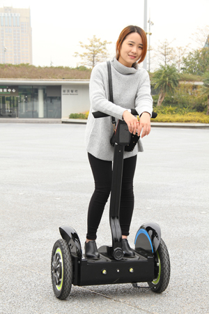 新たに到着した電動戦車x2販売のための仕入れ・メーカー・工場