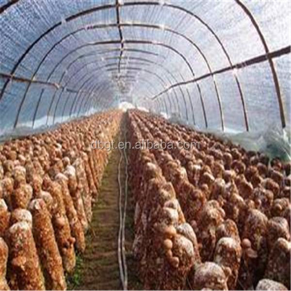 2014 new fresh potato net bag packing
