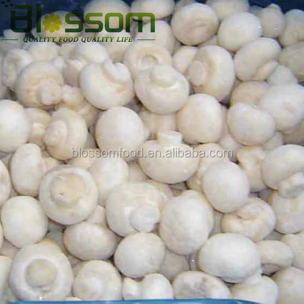 Market prices for mushrooom spawn fozen fresh champignons mushroom