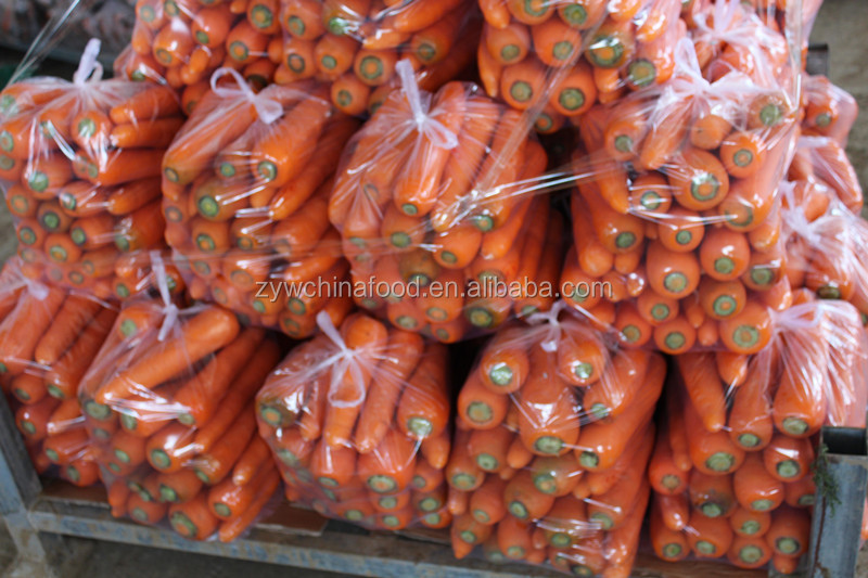 2014 Fresh Carrot Price For Middle East Markets