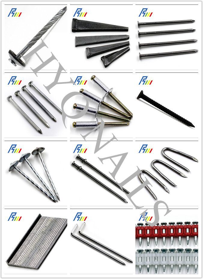 Collated Drywall Screw On Plastic Strip Manufacturers Buy Collated
