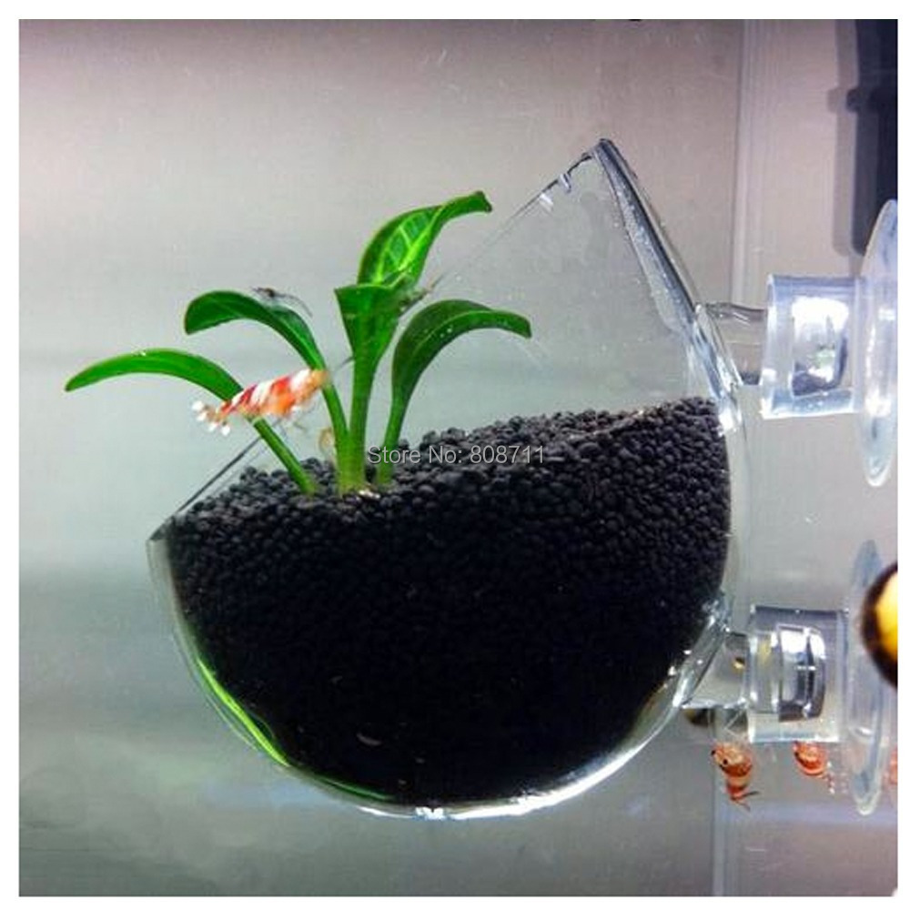 Fish Tank Wall Mounted Plant Cup, live plants Glass Pot/ Holder with