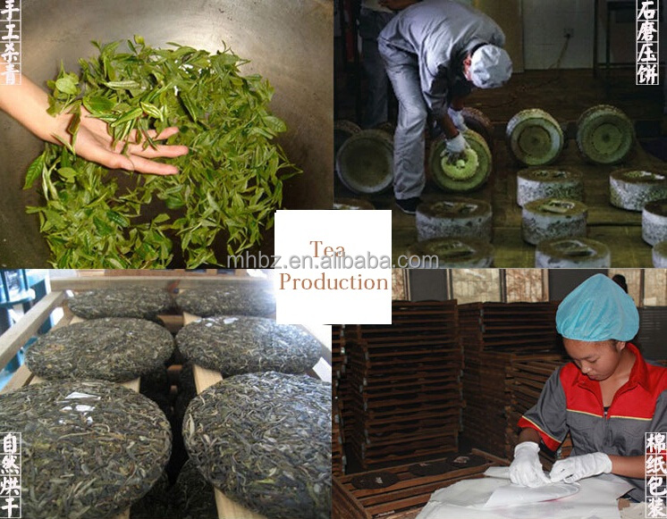 Healthy drinking unfermented puer teas