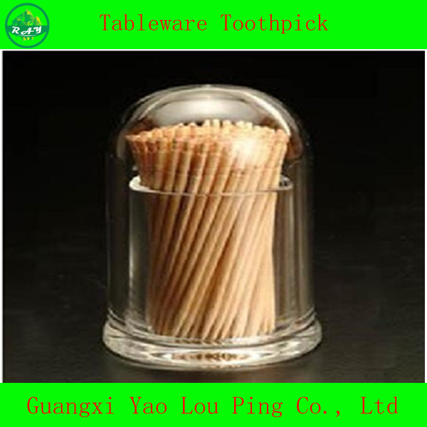 2013 newest eco-friendly cinnamon toothpicks