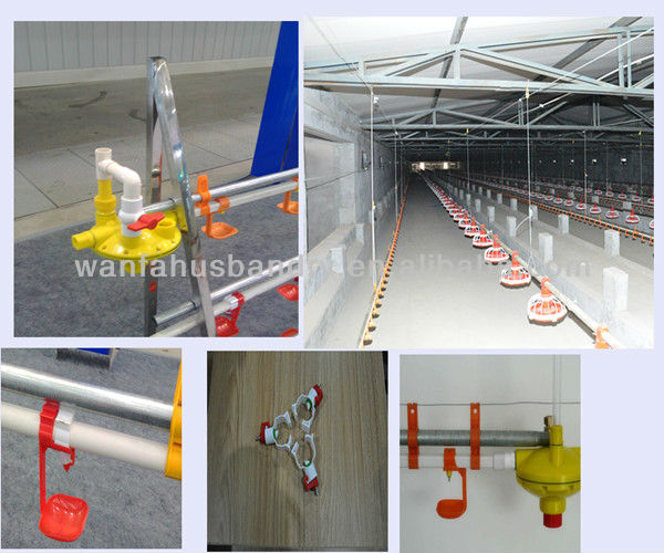 Full Automatic Used Poultry Farm Equipment For Sale Of WANFA