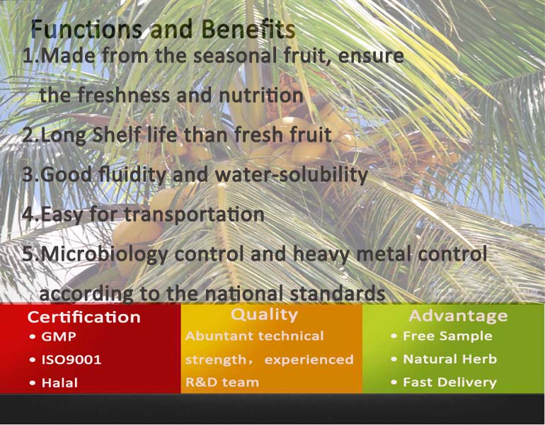 Factory Price Of Instant Coconut Water Powder/Coconut Fat Powder