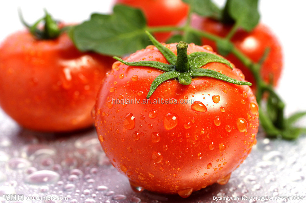 Easy Open Tinned Tomato Paste with plastic cover