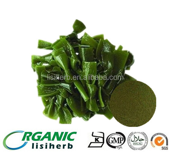 gulf weed,weedkiller 13 years manufacturer supplyhigh quality sea weed extract