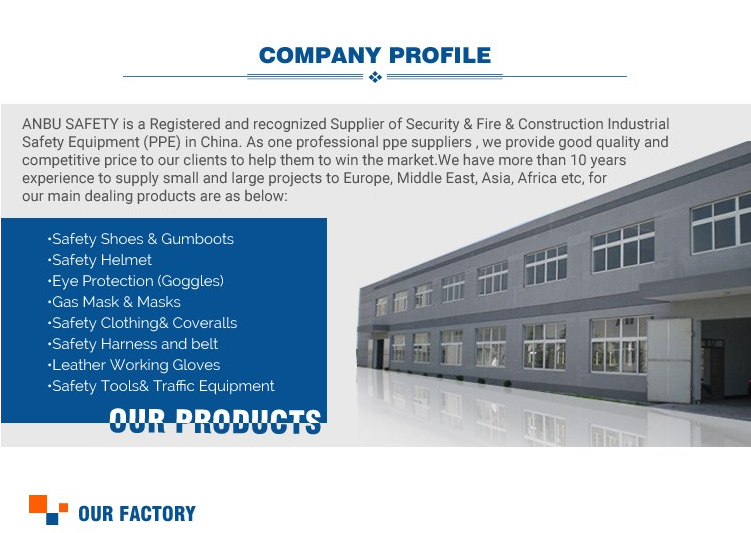 company information