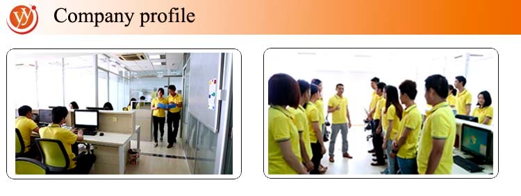 Company profile.jpg