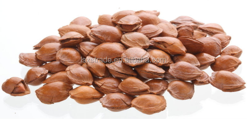 2014 Crop Almond with Shell