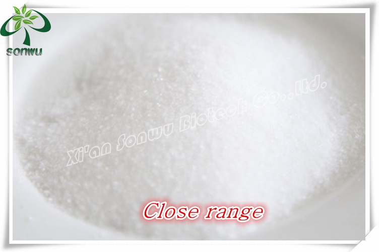 international price for stevia in bulk stevia sachet