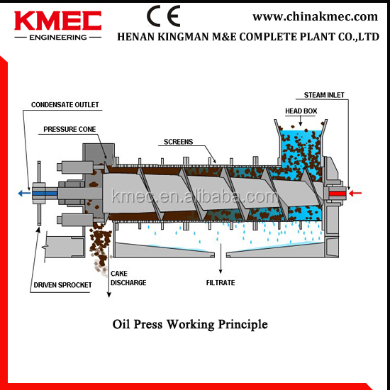 Home Oil Press Machine,Modern Design Oil Equipment,Home Oil Extraction