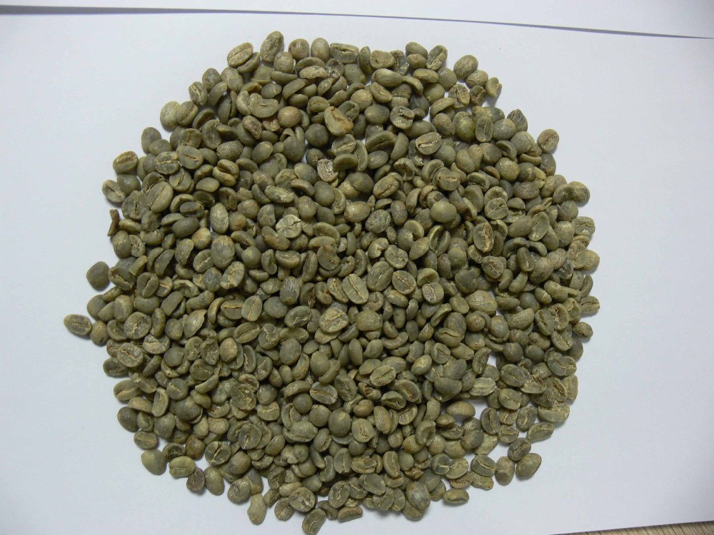 Chinese yunnan green coffee beans,screen 16 up,arabica type