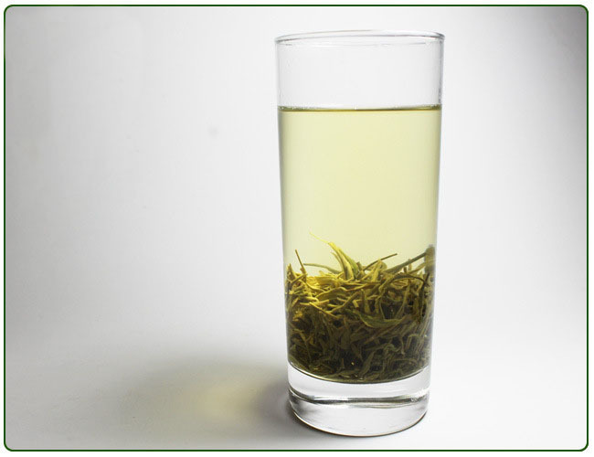Distributors factory in China green tea brands