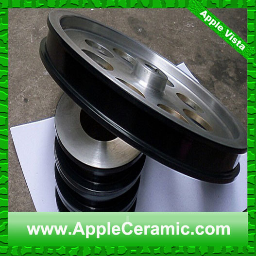 coating pulley (11)