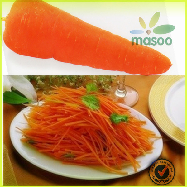 export carrot,bulk carrot,fresh carrot with high quality