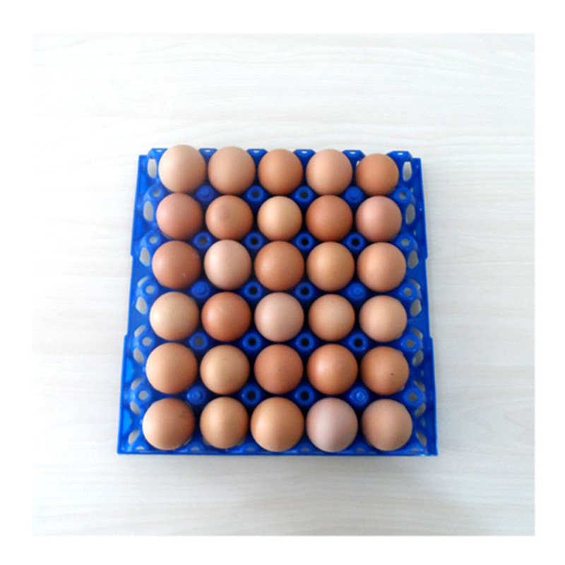 plastic incubator egg tray