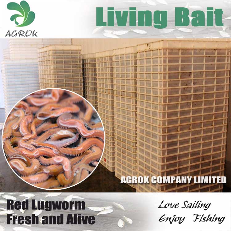  200 Pcs Fishing SoftTrout Worm Earthworm Bait