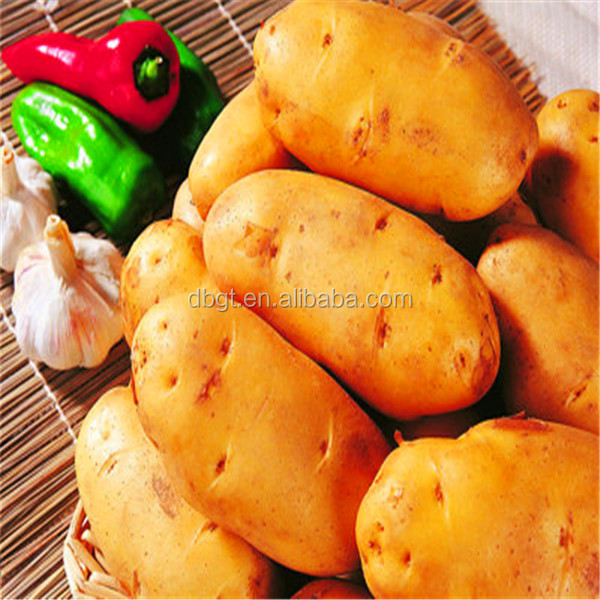 2014 shaanxi new crop fresh potato in bag pack