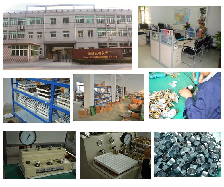 すべてのステンレス鋼の圧力計は、 フランジバック最高の価格で中国寧波で行わ仕入れ・メーカー・工場