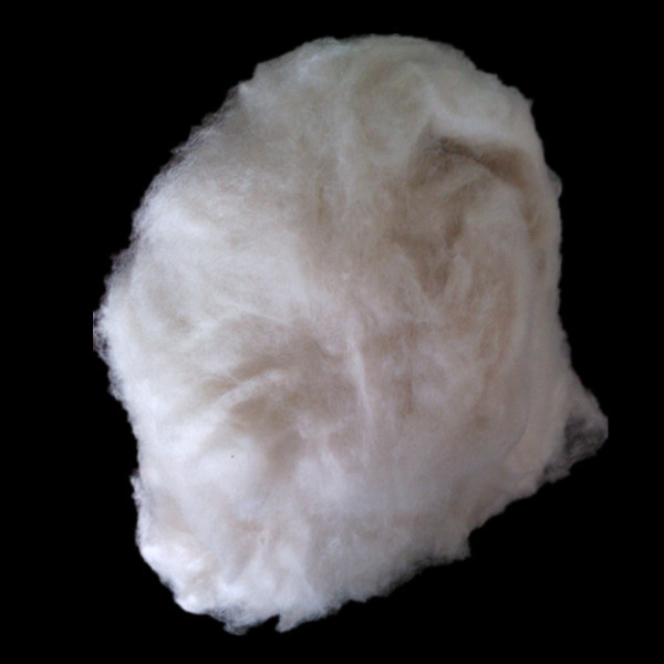 cashmere 9.jpg