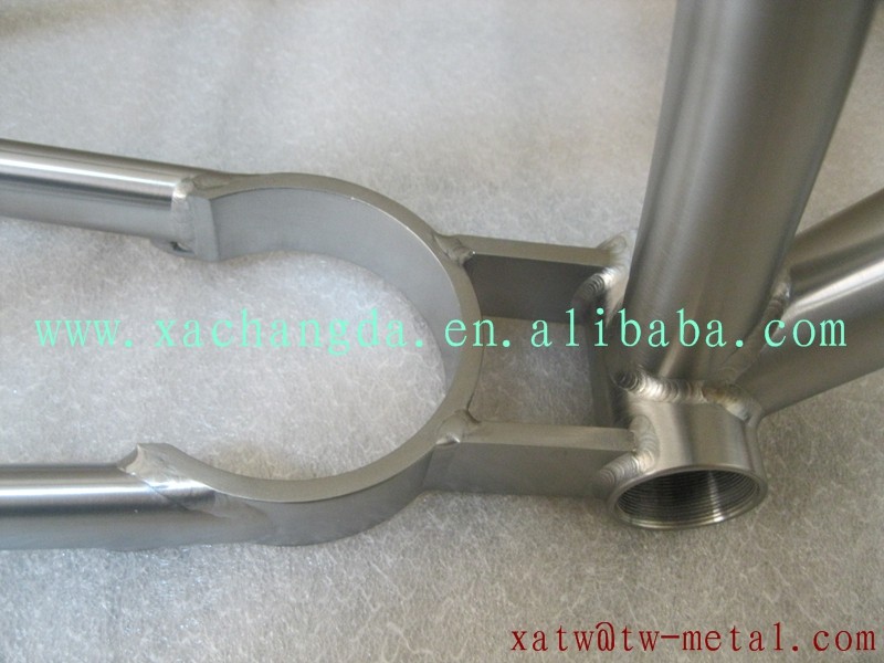 b11.jpg