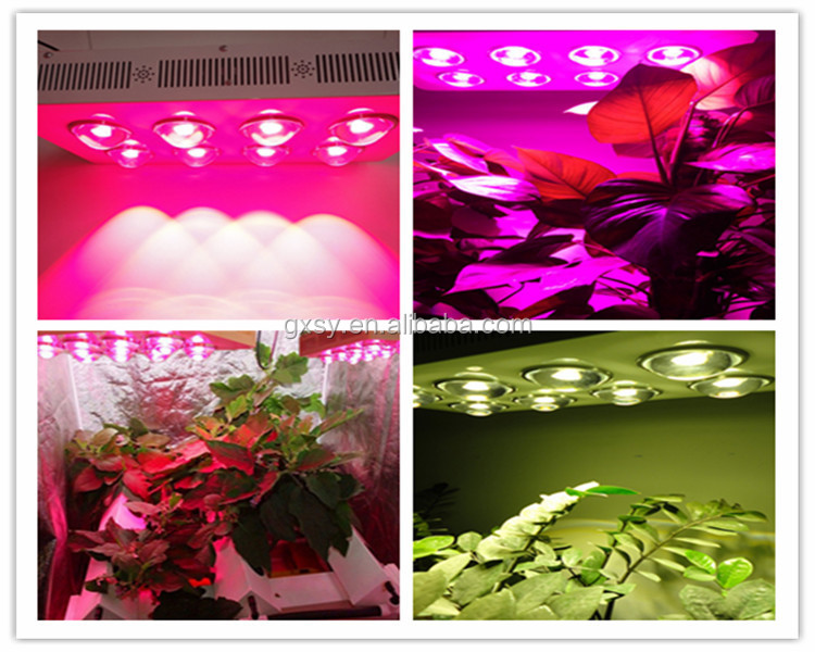 屋内水耕栽培温室400wcobled赤青のための屋内植物の種子ブルームスプラウト仕入れ・メーカー・工場
