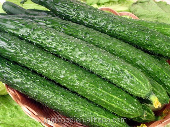 Freeze dried cucumber Cucumber Huang Guading Green cucumber