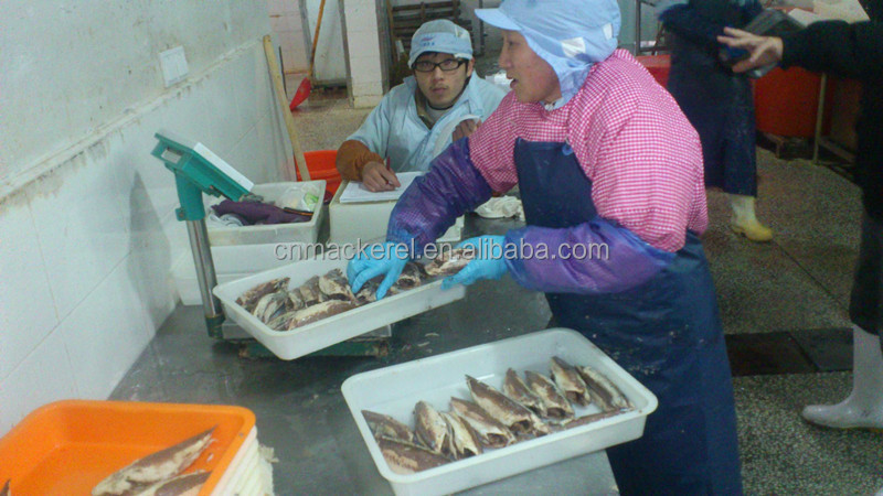 Best Selling Products Precooked Skipjack Tuna Loin /Frozen Tuna Loin