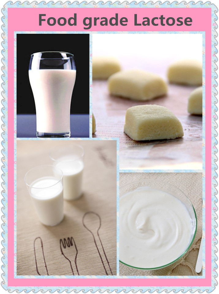 Lactose food/pharma grade with factory price & high quality