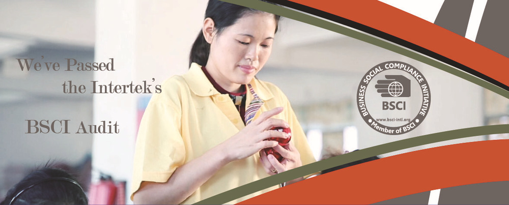 BSCI Banner7.jpg