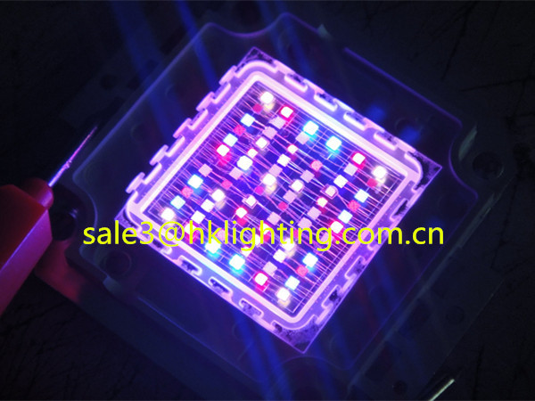 China Market CE Approved Brigelux Chips 3w 10w 30w 60w 100w LED RGB Full Spectrum for Plant Grow Light (5).jpg