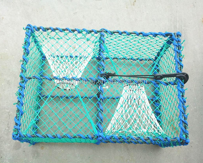 crab1.jpg
