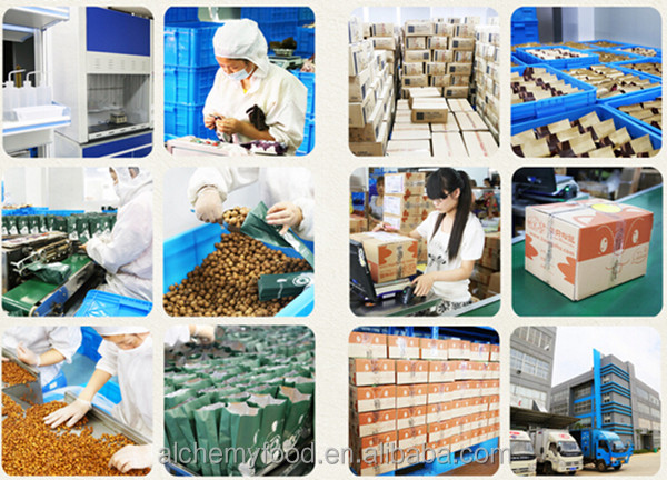 Bulk healthy nutritious raw pecans with high quality, whole sale, good price