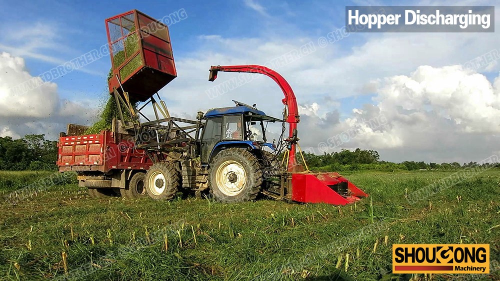 Self Propelled Napier Grass Cutter Corn Silage Forage Harvester Buy Self Propelled Napier