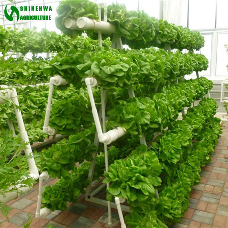 Commercial Vertical Nft Hydroponics System For Sale Buy Commercial