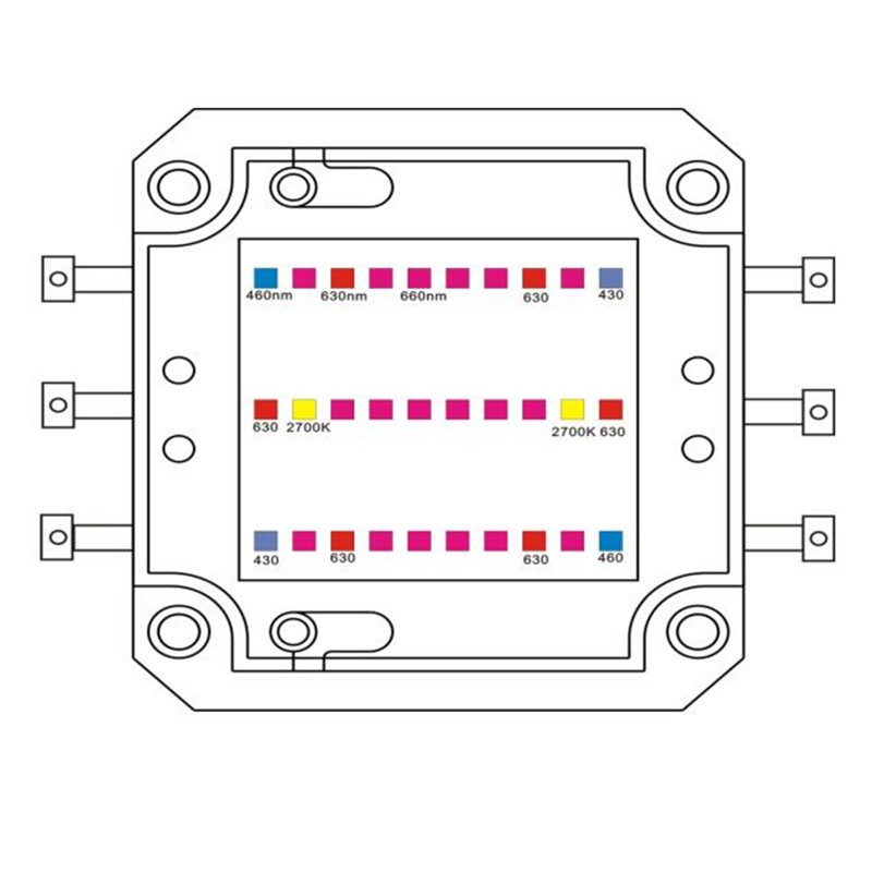 スーパー パワー 900 ワット cob led成長ライト フル スペクトラム仕入れ・メーカー・工場