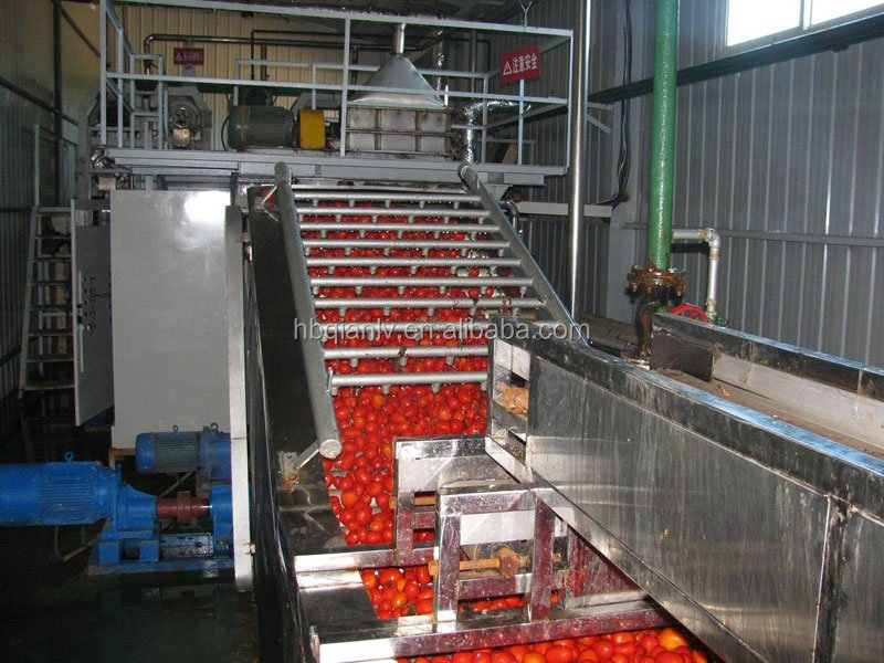 tomato paste processing plant