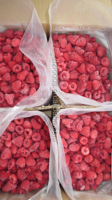 raspberry seed extract