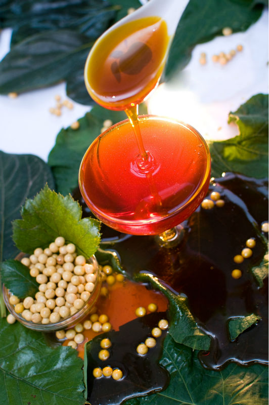 HYDROGENATED SOYA LECITHIN