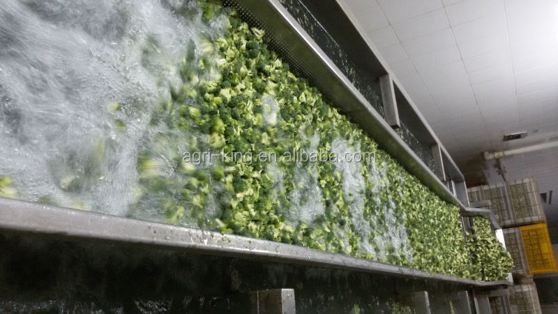 2014 new high quality frozen broccoli & iqf broccoli price