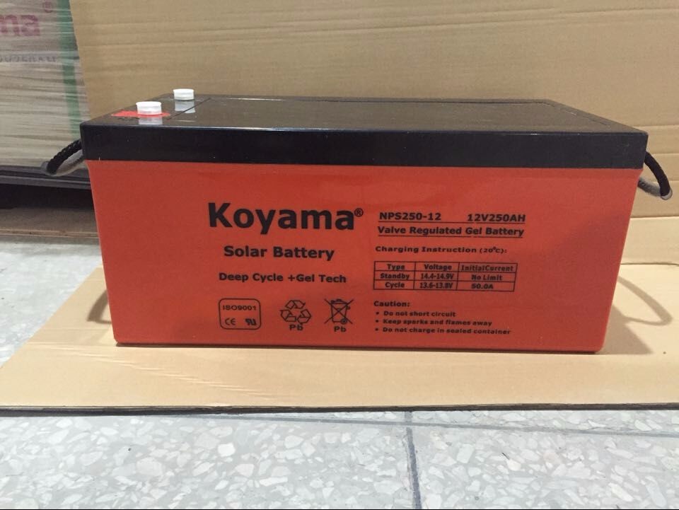 NPS250-12 12V250AH.jpg