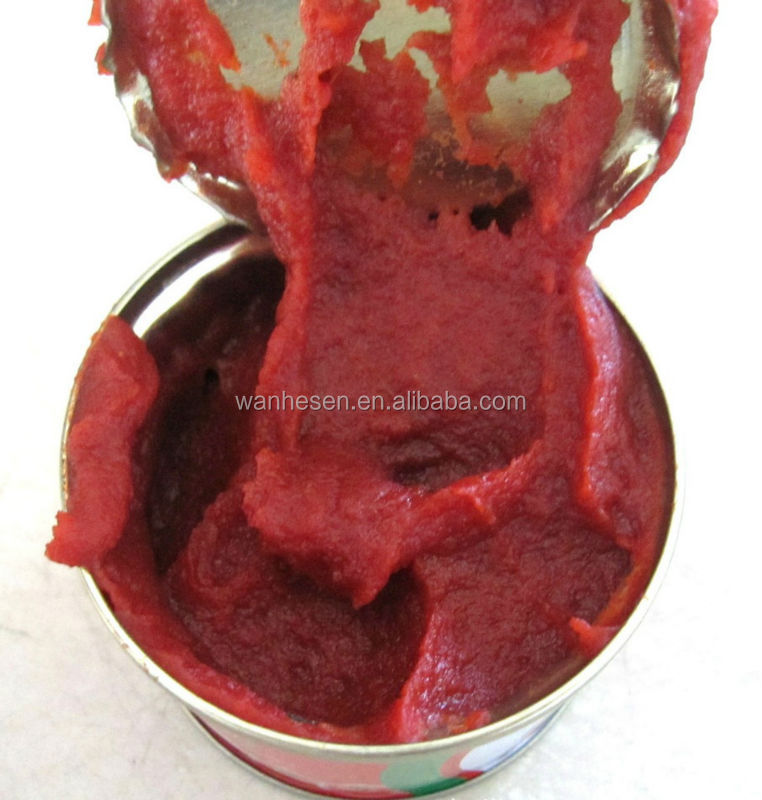 HALAL canned tomato ketchup raw material 2200g