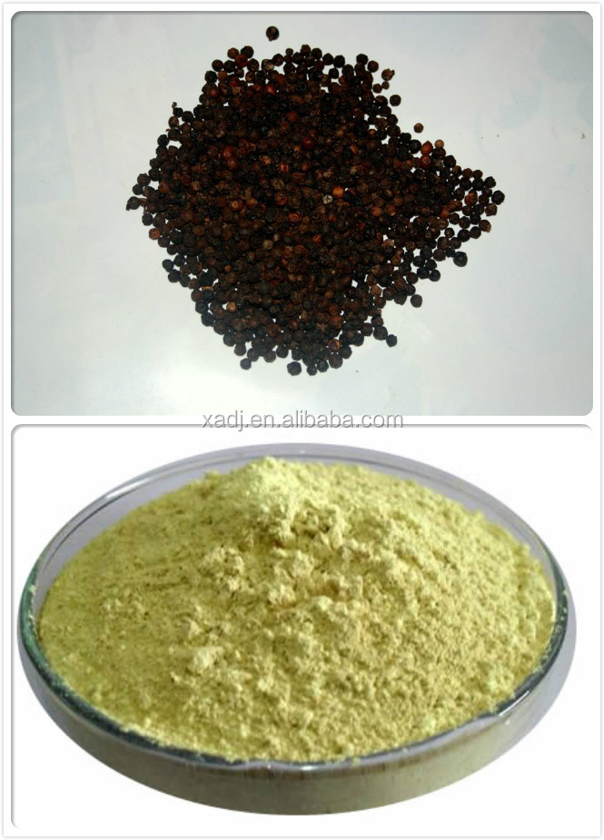 Black pepper extract,extraction piperine black pepper,black pepper extract powder
